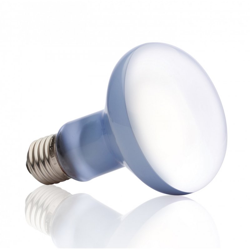 Exo Terra PT2133 lampe chauffante pour reptile 100 W 1 pièce(s)