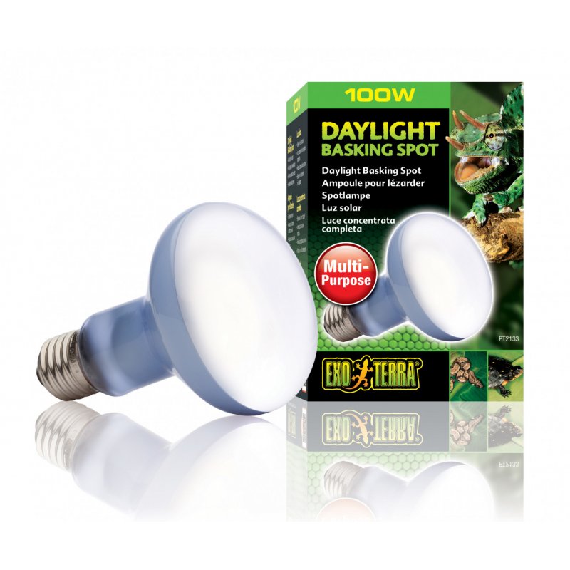 Exo Terra PT2133 lampe chauffante pour reptile 100 W 1 pièce(s)