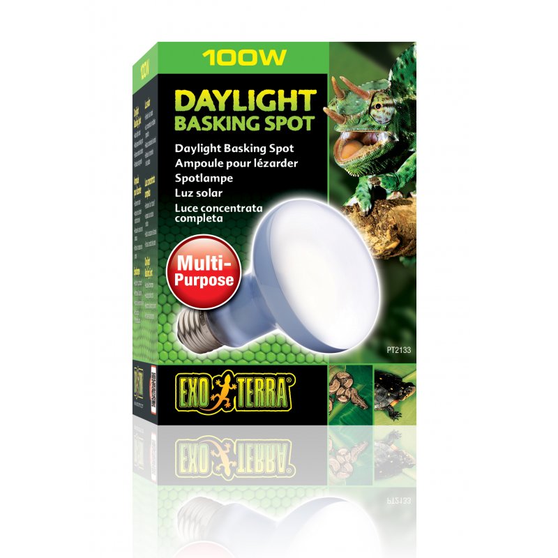 Exo Terra PT2133 lampe chauffante pour reptile 100 W 1 pièce(s)