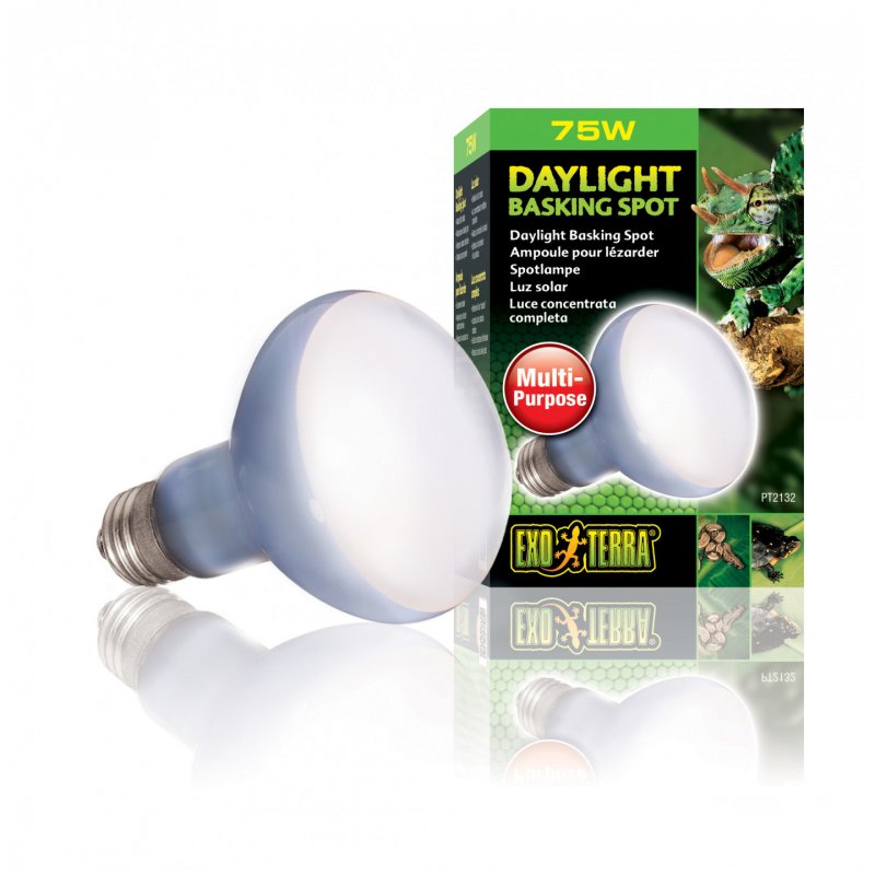 Exo Terra PT2132 lampe chauffante pour reptile 75 W 1 pièce(s)