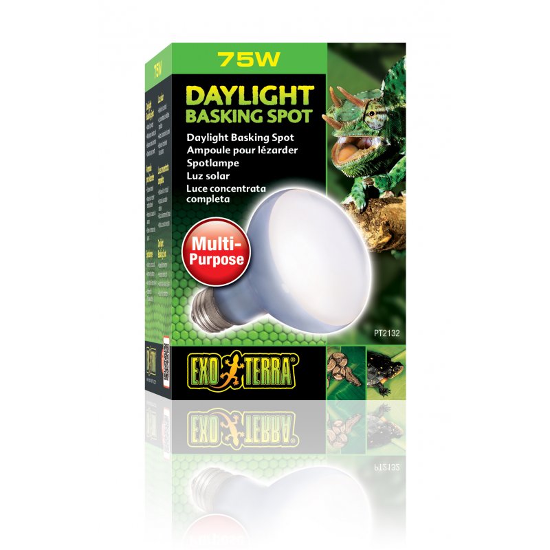 Exo Terra PT2132 reptile heat lamp 75 W 1 pc(s)