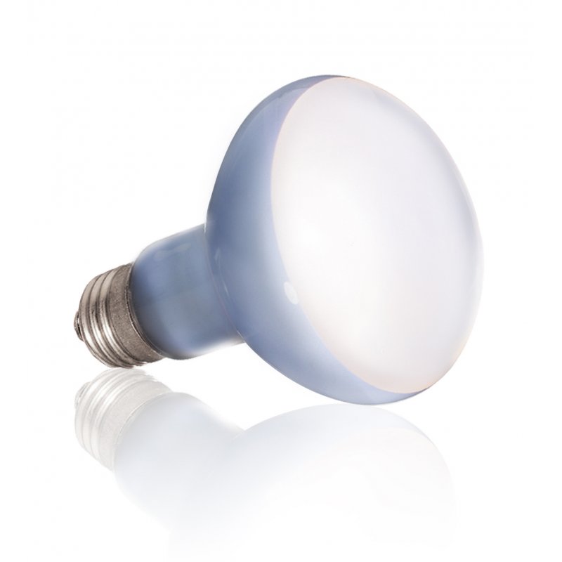 Exo Terra PT2132 lampe chauffante pour reptile 75 W 1 pièce(s)