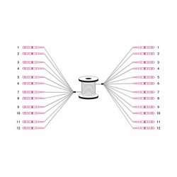 Digitus Pre-assembled Fiberglass Universal Breakout Cable, Multi Mode OM4, 12 Fibers, LC/UPC - LC/UPC