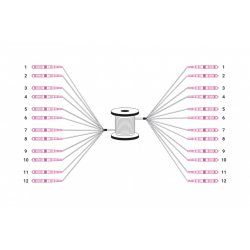 Digitus Câble breakout fibre optique universel préassemblé, multimode OM4, 12 fibres, LC/UPC – LC/UPC
