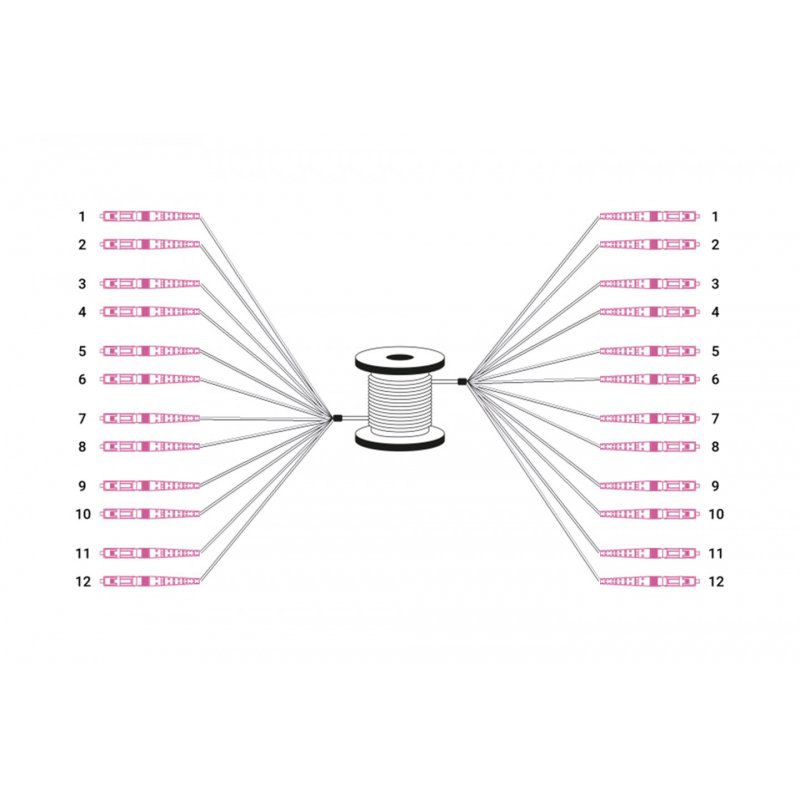 Digitus Câble breakout fibre optique universel préassemblé, multimode OM4, 12 fibres, LC/UPC – LC/UPC