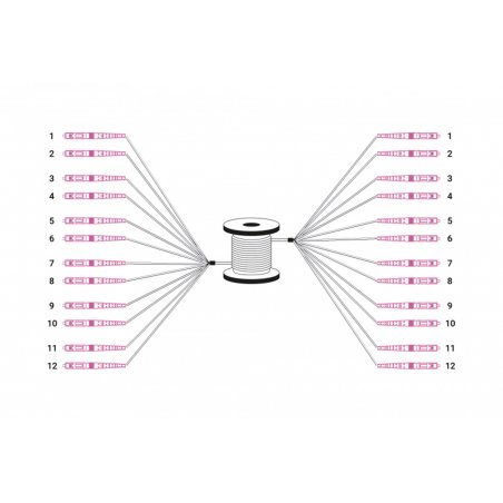 Digitus Câble breakout fibre optique universel préassemblé, multimode OM4, 12 fibres, LC/UPC – LC/UPC
