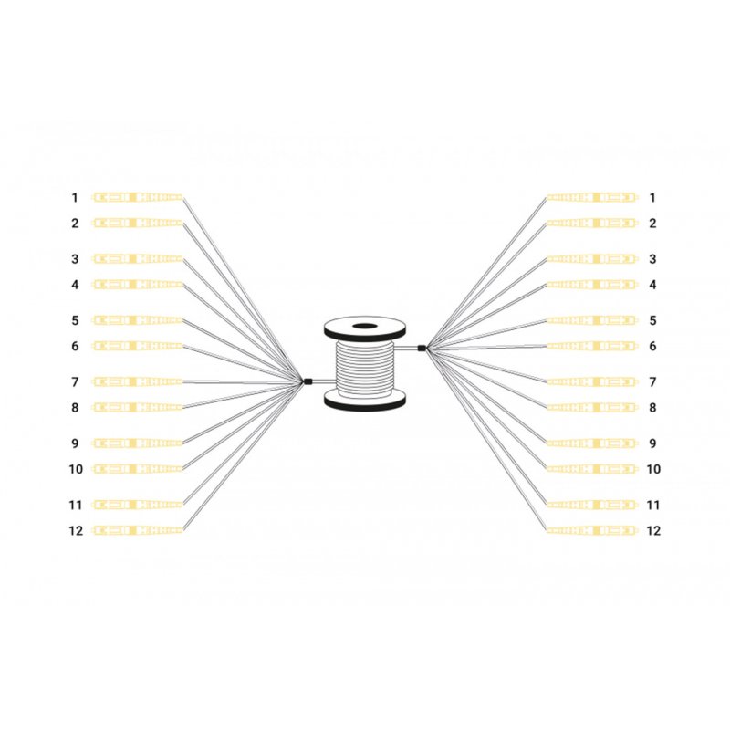 Digitus Câble breakout fibre optique universel préassemblé, multimode OS2, 12 fibres, LC/UPC – LC/UPC