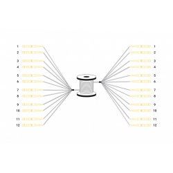 Digitus Câble breakout fibre optique universel préassemblé, multimode OS2, 12 fibres, LC/UPC – LC/UPC