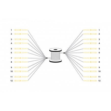Digitus Câble breakout fibre optique universel préassemblé, multimode OS2, 12 fibres, LC/UPC – LC/UPC