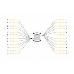 Digitus Câble breakout fibre optique universel préassemblé, multimode OS2, 12 fibres, LC/UPC – LC/UPC