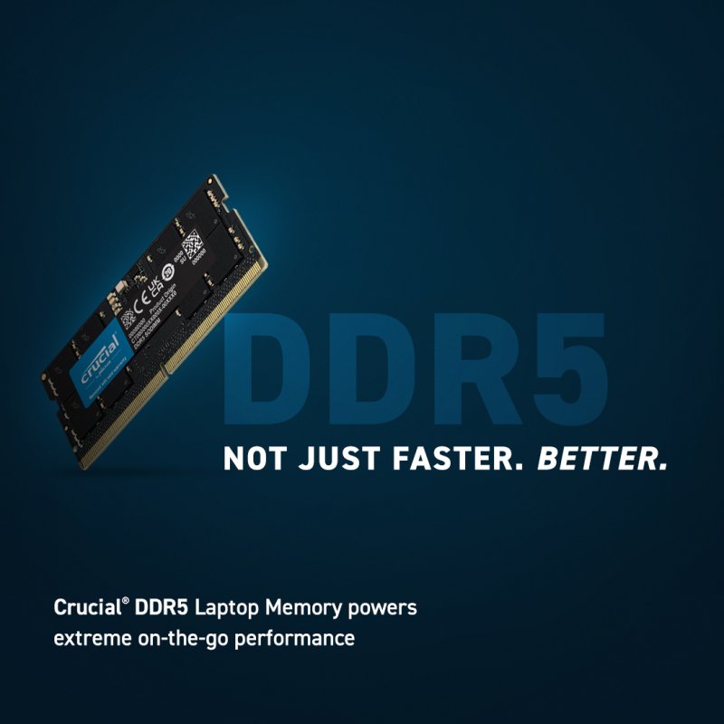 Crucial SORAM D5 5200 48GB CL46 - 48 GB module de mémoire 48 Go 1 x 48 Go DDR5 5600 MHz ECC
