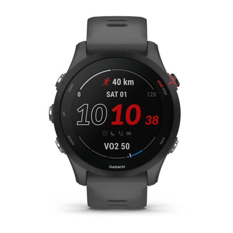 Garmin Forerunner 255 slate grey/black 010-02641-10