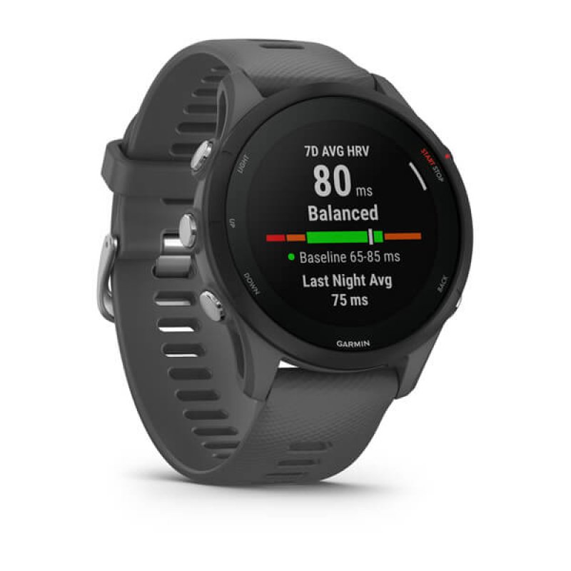 Garmin Forerunner 255 slate grey/black 010-02641-10