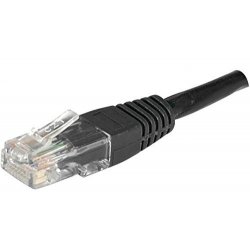 Dexlan UTP Cat6 1m câble de réseau Noir U/UTP (UTP)