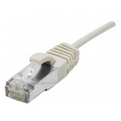 Dexlan 858702 câble de réseau Gris 1 m Cat6a S/FTP (S-STP)