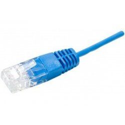 Dexlan UTP 1P 3m câble de réseau Bleu U/UTP (UTP)