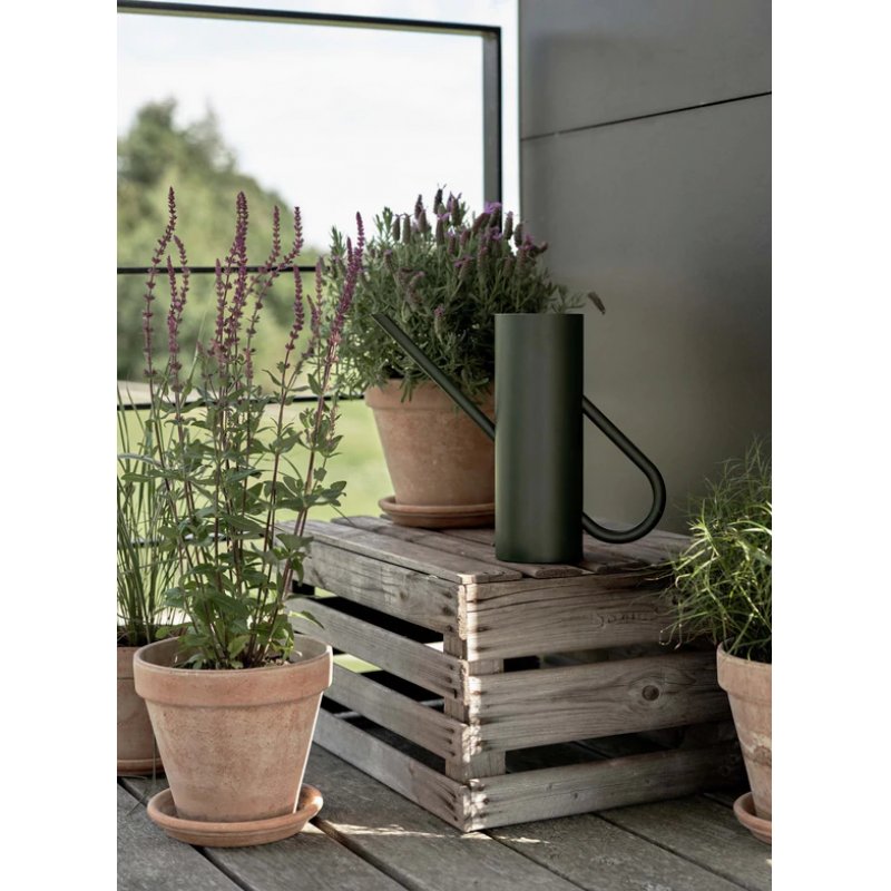 Stelton Bloom Arrosoir 2 L Vert