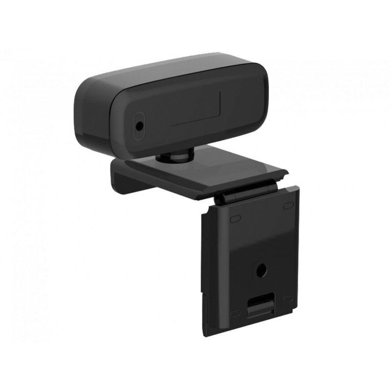 Sandberg 134-15 webcam 2 MP 1920 x 1080 pixels USB 2.0 Noir