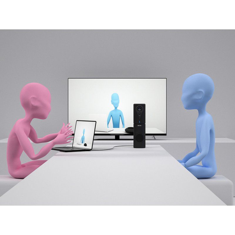 Sandberg 134-23 webcam 2,1 MP 1920 x 1080 pixels USB 2.0 Noir