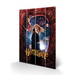 HARRY POTTER - Hermione - Impression sur bois 40x59cm