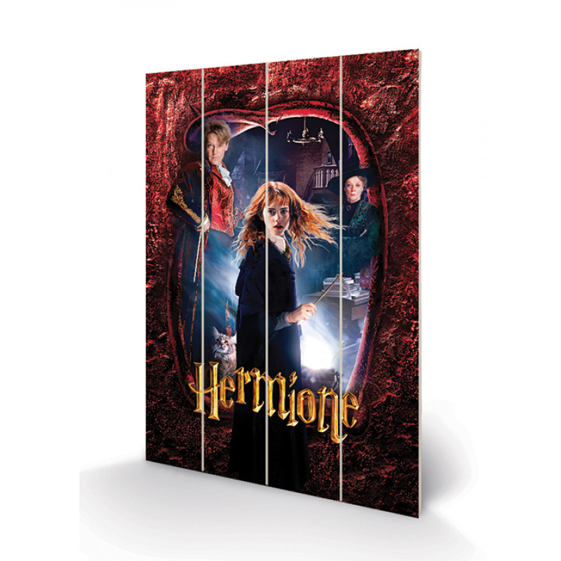 HARRY POTTER - Hermione - Impression sur bois 40x59cm