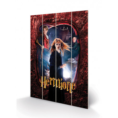 HARRY POTTER - Hermione - Impression sur bois 40x59cm