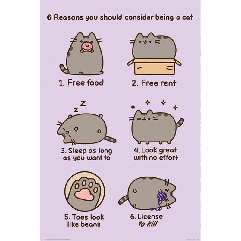 Pusheen posters Reasosn to be a Cat 61 x 91 cm (4)