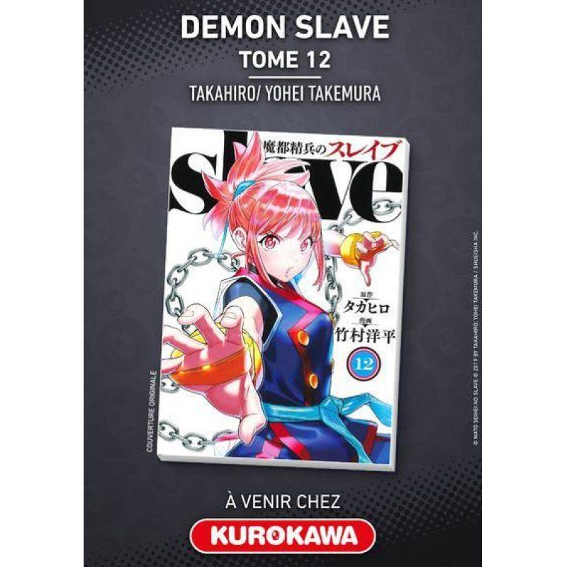 Demon Slave - Tome 12