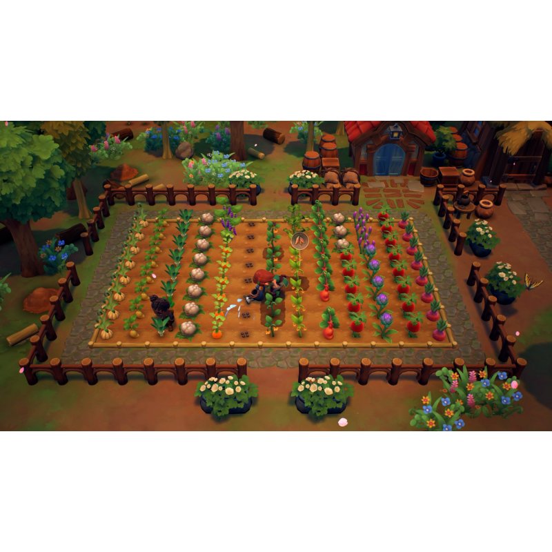 Nintendo Fae Farm Standard Chinois traditionnel, Allemand, Anglais, Espagnol, Français, Italien, Japonais, Coréen, Por