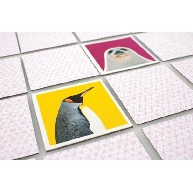 Tactic Wildlife Memo Jeu de cartes Assortiments