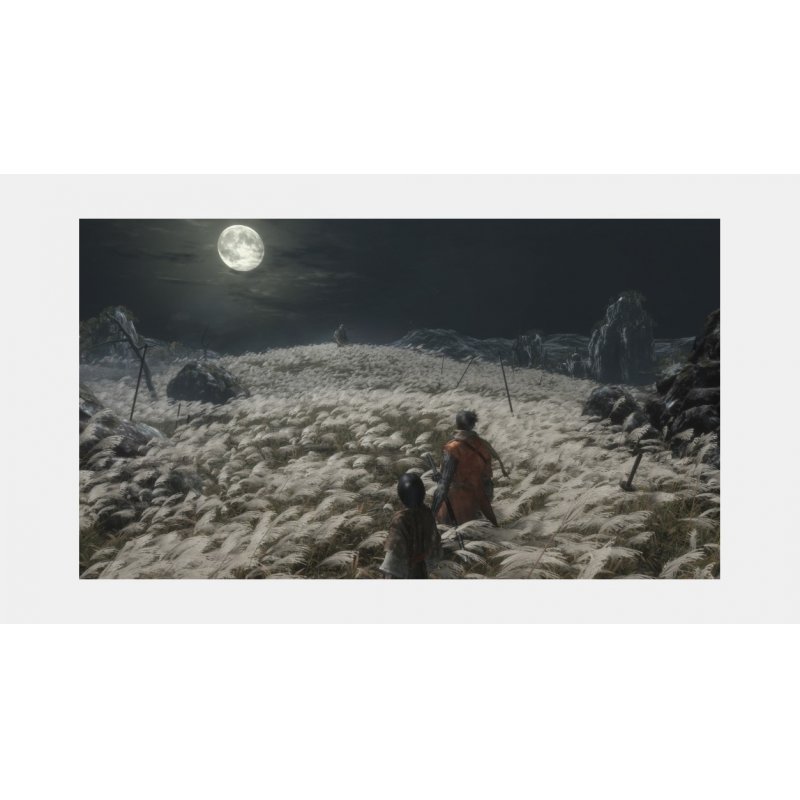 Sekiro: Shadows Die Twice ( Import )