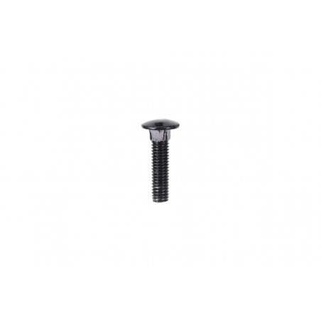 Alphacool Eiskoffer - Schlossschraube M5 x 20 Innensechskant Linsenkopf