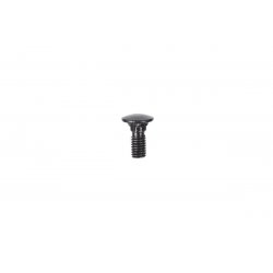 Alphacool Eiskoffer - Schlossschraube M5 x 10 Innensechskant Linsenkopf