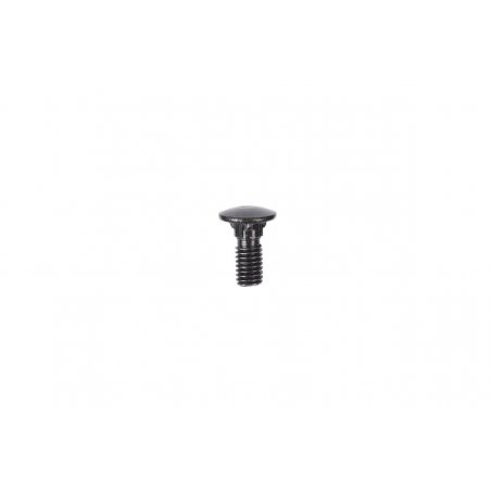 Alphacool Eiskoffer - Schlossschraube M5 x 10 Innensechskant Linsenkopf