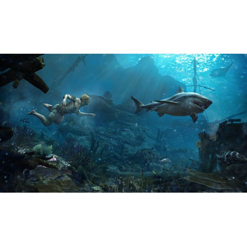 Ubisoft Assassin's Creed IV: Black Flag Standard English PlayStation 4