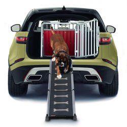 4pets EasySteps Rampe pour animaux de compagnie