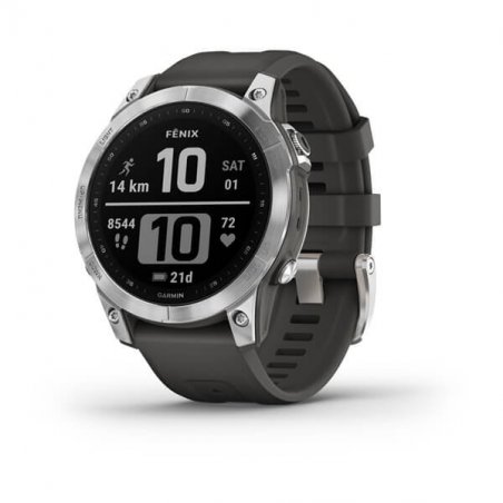 Garmin Fenix 7 Silver with Graphite Band EU