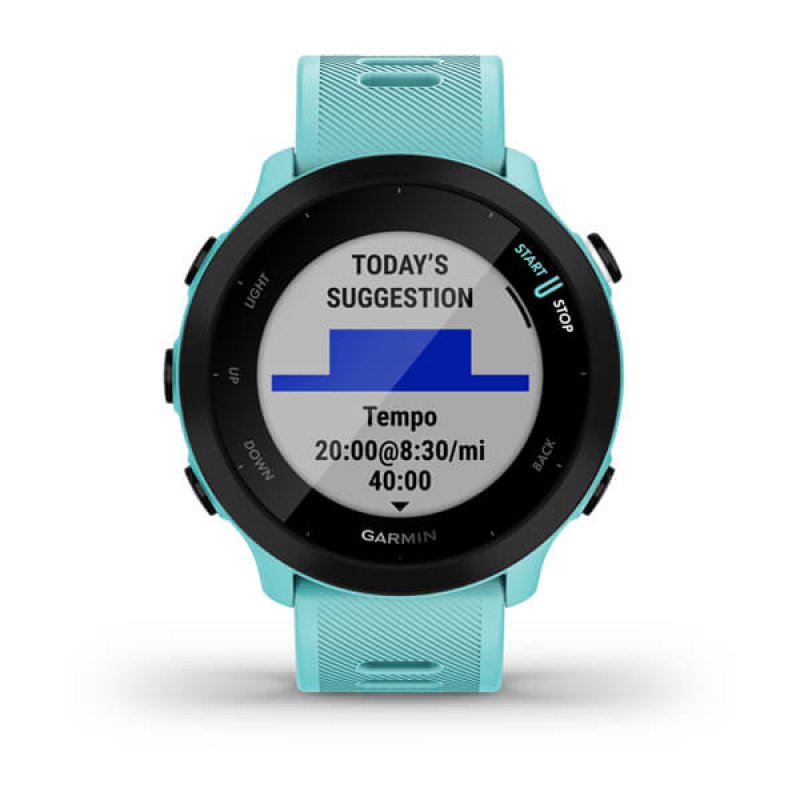 Garmin Forerunner 55 2,64 cm (1.04") 42 mm Numérique 208 x 208 pixels GPS (satellite) BLEU
