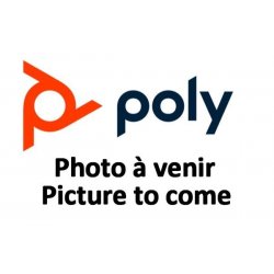 POLY BW 5200 Y TRNG CBL