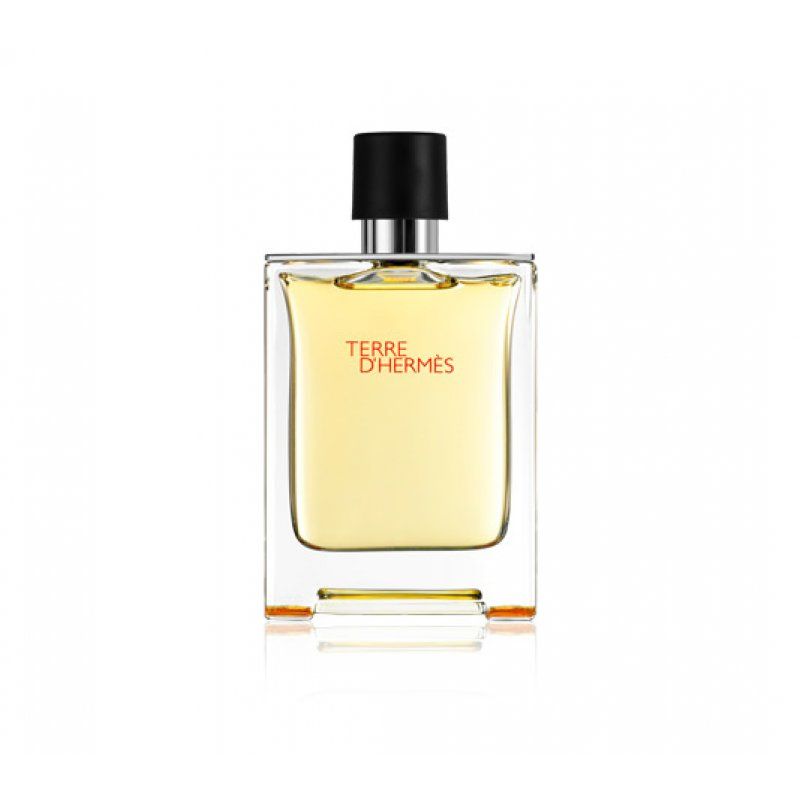 Hermes Terre d'Hermès 100ml