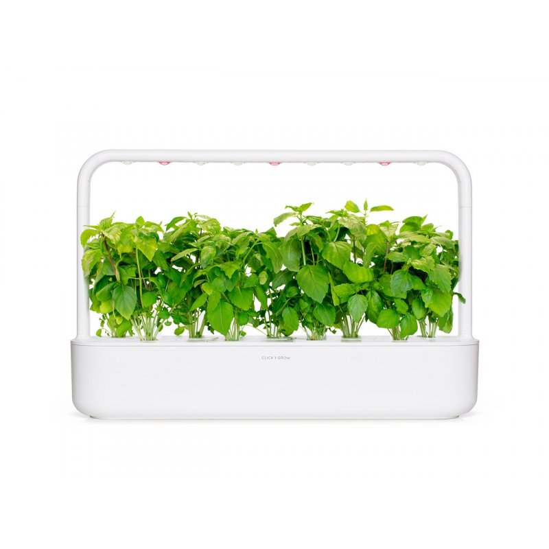 Click and Grow - Smart Garden Refill 3-pack - Cinnamon Basil (SGR71X3)