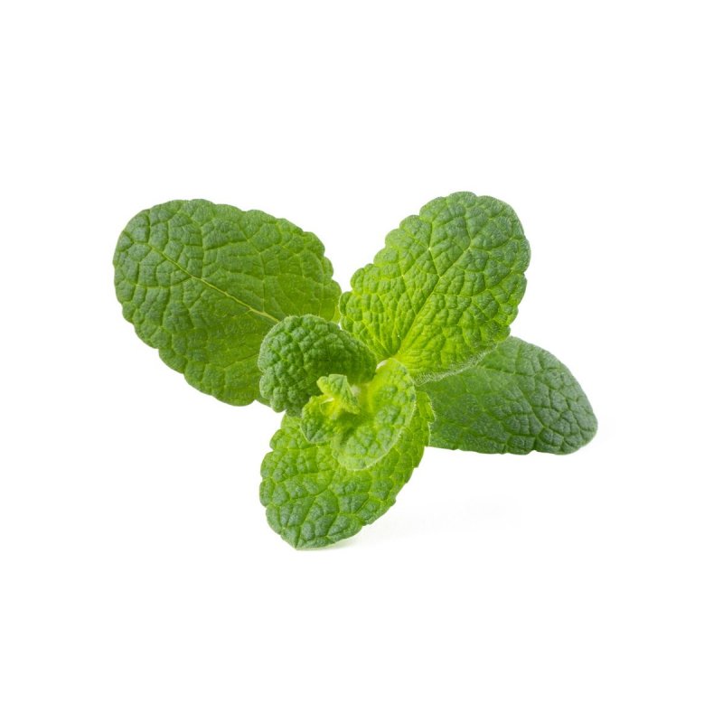 Click and Grow - Smart Garden Refill 3-pack - Apple Mint (SGR79X3)