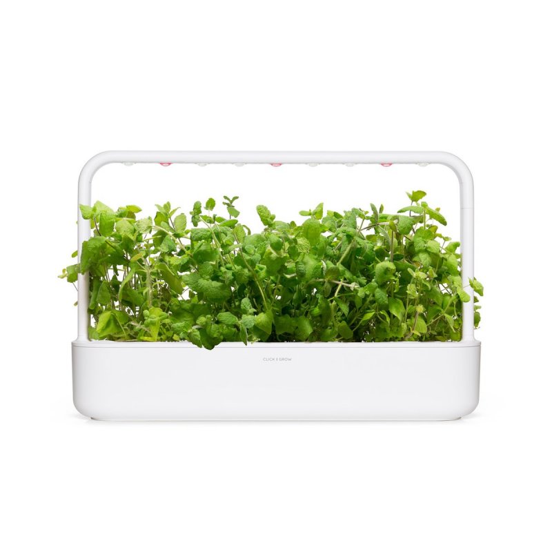 Click and Grow - Smart Garden Refill 3-pack - Apple Mint (SGR79X3)