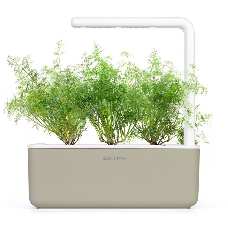 Click & Grow DILL PLANT PODS
