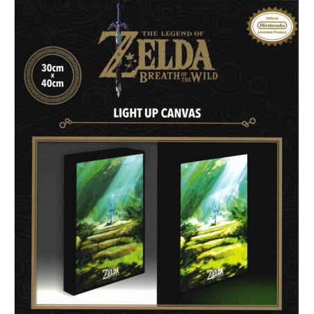 THE LEGEND OF ZELDA - Master Sword - Canvas Lumineux 40X30 Cm