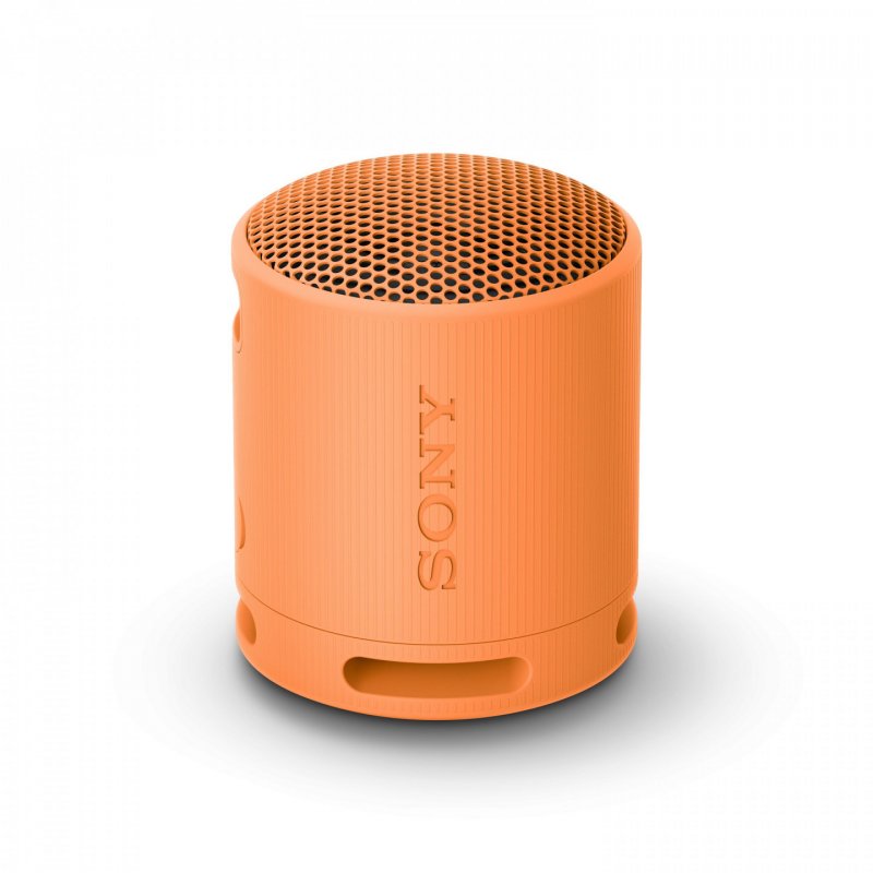Sony SRS-XB100 - Wireless Bluetooth Portable Speaker, Durable IP67 Waterproof & Dustproof, 16 Hour Battery, Eco,
