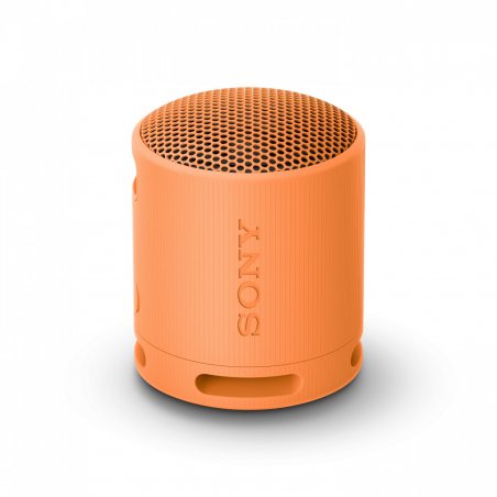 Sony SRS-XB100 - Wireless Bluetooth Portable Speaker, Durable IP67 Waterproof & Dustproof, 16 Hour Battery, Eco,