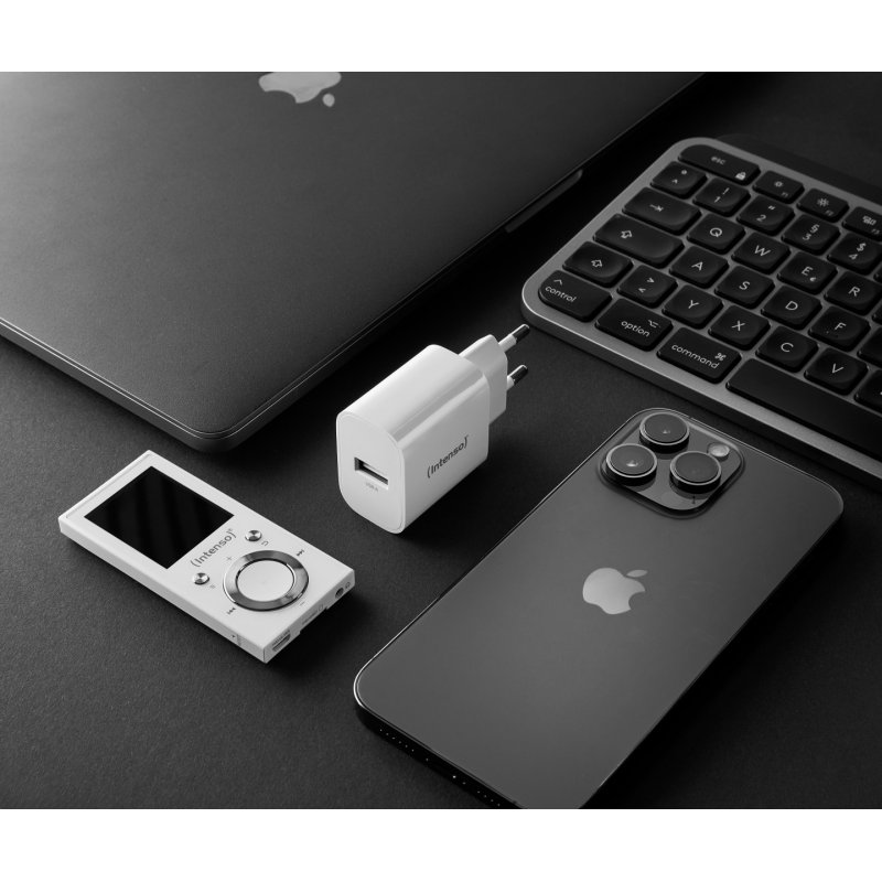 Intenso 1x USB-A Adapter weiß Universal White AC Indoor