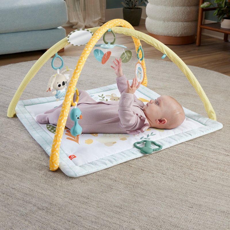 Fisher-Price HRB15 baby gym/play mat Fabric, Plastic