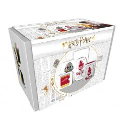 Harry Potter - Quidditch Gift Box
